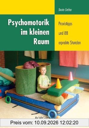 Psychomotorik im kleinen Raum: Praxistipps und 88 erprobte Stunden