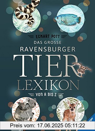 Binding : Gebundene Ausgabe, Edition : 1, Label : Ravensburger Buchverlag, Publisher : Ravensburger Buchverlag, medium : Gebundene Ausgabe, numberOfPages : 468, publicationDate : 2017-06-25, authors : Eckart Pott, languages : german, ISBN : 3473550868