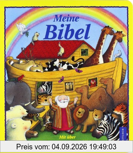 Meine Bibel: Mit über 45 überraschenden Einblicken