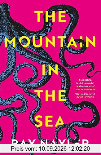 The Mountain in the Sea: Winner of the Locus Best First Novel Award