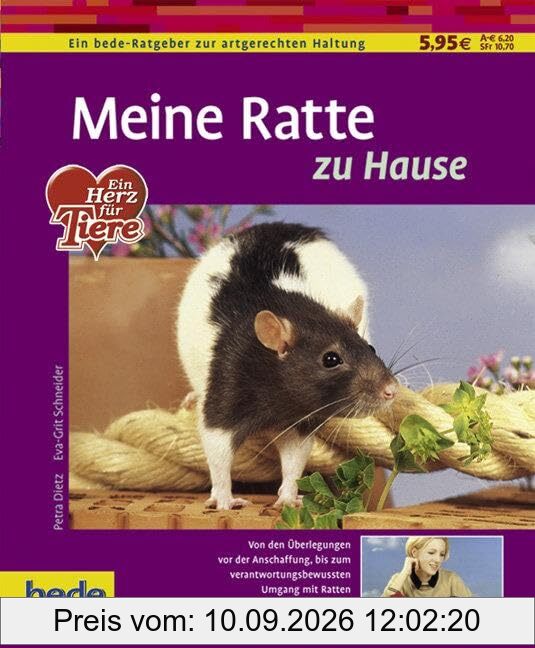 Meine Ratte zu Hause: Von den Überlegungen von der Anschaffung, bis zum verantwortungsbewussten Umgang mit Ratten