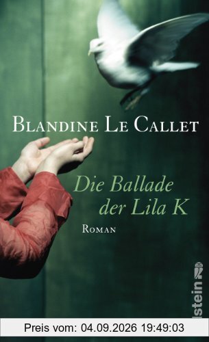 Die Ballade der Lila K: Roman