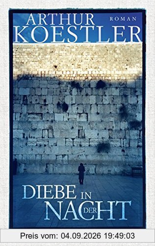 Diebe in der Nacht: Roman