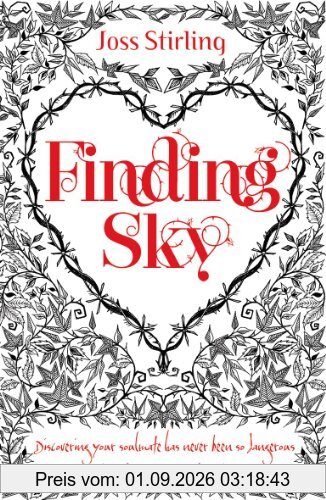 Finding Sky