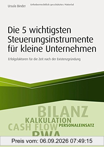 Die 5 wichtigsten Steuerungsinstrumente für kleine Unternehmen: Erfolgsfaktoren für die Zeit nach der Existenzgründung (Haufe Fachbuch)