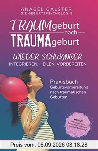 TRAUMgeburt nach TRAUMAgeburt: Wieder schwanger: integrieren, heilen, vorbereiten | Ein Praxisbuch zur Geburtsvorbereitung nach traumatischen Geburten