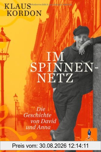 Im Spinnennetz: Die Geschichte von David und Anna. Roman (Gulliver)