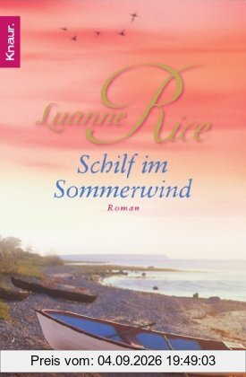 Schilf im Sommerwind