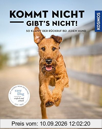 Kommt nicht, gibts nicht: So klappt der Rückruf bei jedem Hund