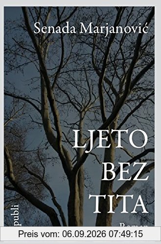 Ljeto bez Tita