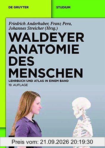 Waldeyer - Anatomie des Menschen: Lehrbuch und Atlas in einem Band (De Gruyter Studium)