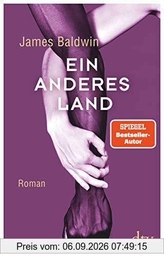 Ein anderes Land: Roman