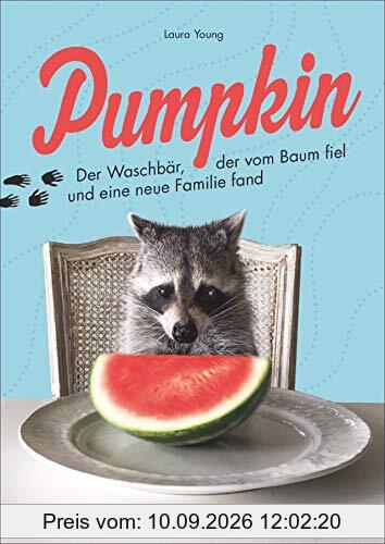 Pumpkin. Der Waschbär, der vom Baum fiel und eine neue Familie fand. Ein bezauberndes Geschenkbuch über den Instagram-Star und eine berührende Freundschaft.