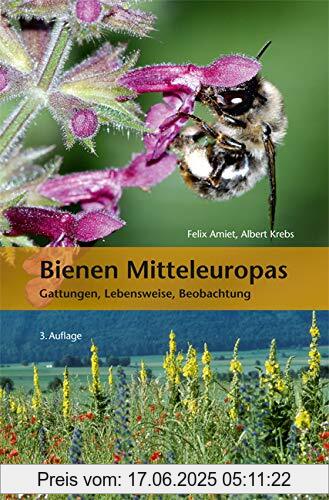 Brand : Haupt, Binding : Taschenbuch, Edition : 3. Auflage 2019, Label : Haupt Verlag, Publisher : Haupt Verlag, medium : Taschenbuch, numberOfPages : 424, publicationDate : 2019-02-18, authors : Felix Amiet, Albert Krebs, Andreas Müller, ISBN : 3258081042