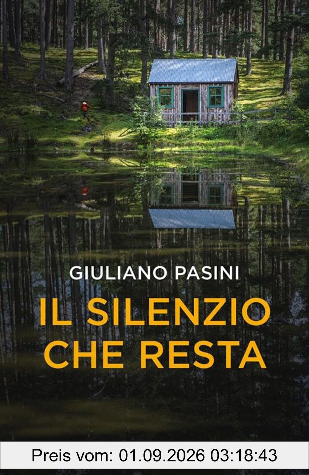 Il silenzio che resta (Thriller)