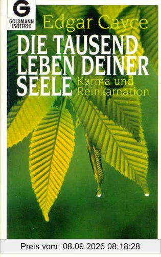 Die tausend Leben deiner Seele. Karma und Reinkarnation.