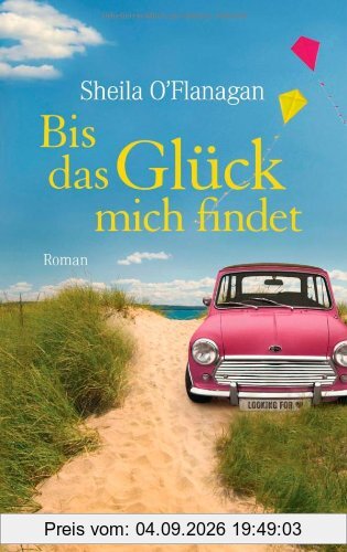 Bis das Glück mich findet: Roman