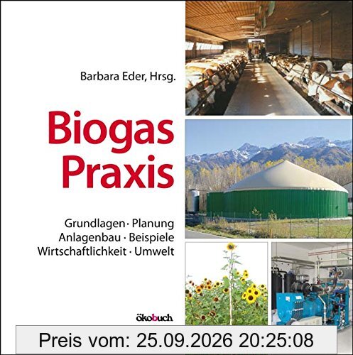 Biogas-Praxis: Grundlagen, Planung, Anlagenbau, Beispiele, Wirtschaftlichkeit, Umwelt