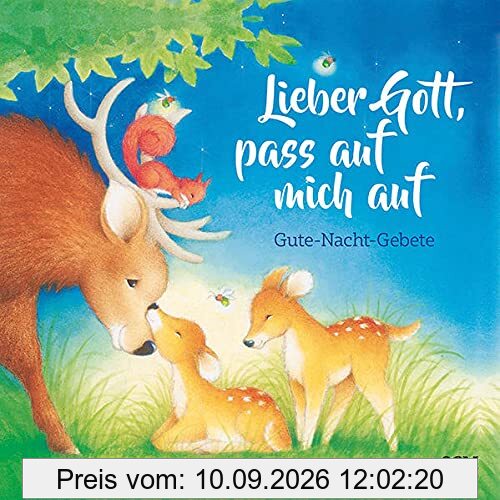 Lieber Gott, pass auf mich auf: Gute-Nacht-Gebete (Bilderbücher für 3- bis 6-Jährige)