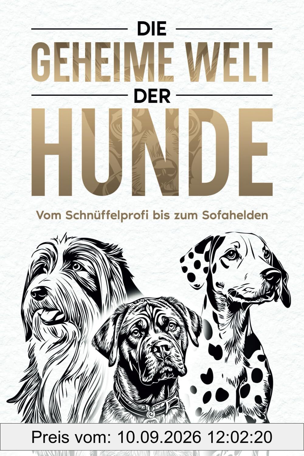 Die geheime Welt der Hunde - Vom Schnüffelprofi bis zum Sofahelden -: Kurios, kläfferwitzig und herrlich haarig – das ultimative Buch für alle, die Hunde lieben und über sie schmunzeln möchten!