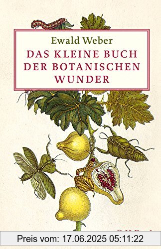 Binding : Gebundene Ausgabe, Edition : 2, Label : C.H.Beck, Publisher : C.H.Beck, medium : Gebundene Ausgabe, numberOfPages : 171, publicationDate : 2016-10-21, authors : Ewald Weber, languages : german, ISBN : 340669618X