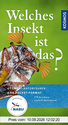 Welches Insekt ist das?: 170 Insekten einfach bestimmen (Kosmos-Naturführer Basics)