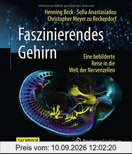 Faszinierendes Gehirn: Eine bebilderte Reise in die Welt der Nervenzellen