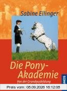 Die Pony-Akademie: Von der Grundausbildung bis zur Hohen Schule