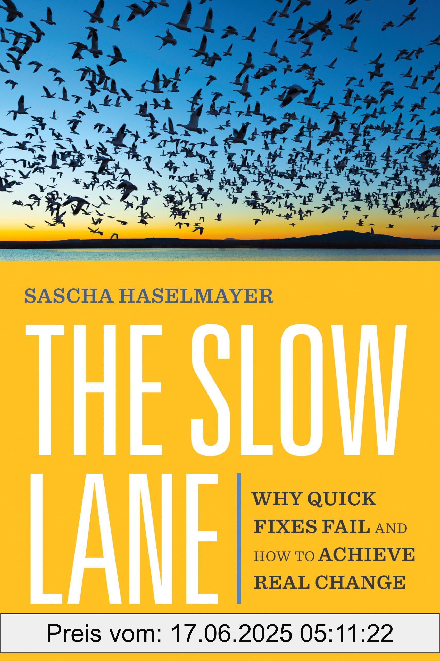 Brand : Berrett-Koehler, Binding : paperback, Label : The Slow Lane : Why Quick Fixes Fail and How to Achieve Real Change, medium : paperback, numberOfPages : 240, publicationDate : 2023-07-18, releaseDate : 2023-07-18, languages : english, ISBN : 1523004584
