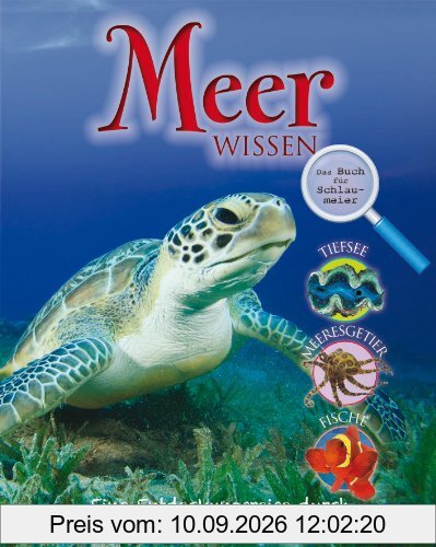 Hits für Kids: Meer Wissen: Eine Entdeckungsreise durch die Ozeane der Welt