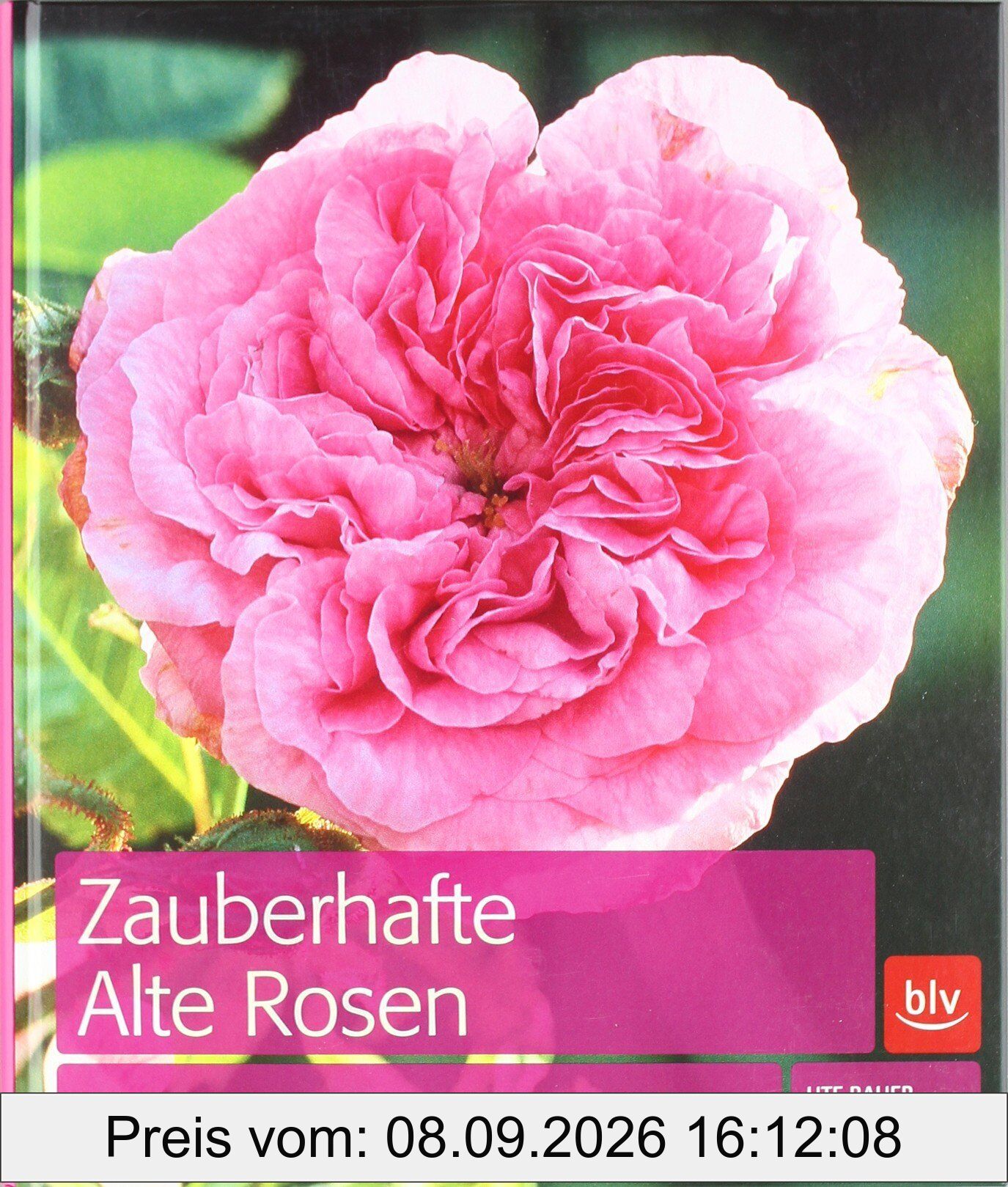 Zauberhafte Alte Rosen: Die besten Sorten · Geschichte und Pflege