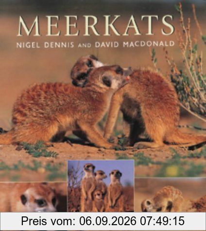 Meerkats