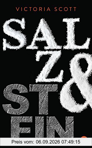 Salz & Stein (Die Feuer & Flut-Romane, Band 2)
