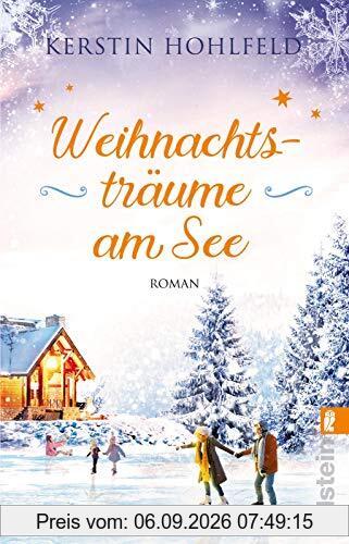 Weihnachtsträume am See: Roman