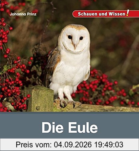 Die Eule: Schauen und Wissen!