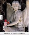 Aus Licht und Schatten. Engelbilder. Sonderausgabe.