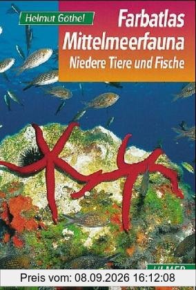 Farbatlas Mittelmeerfauna. Niedere Tiere und Fische