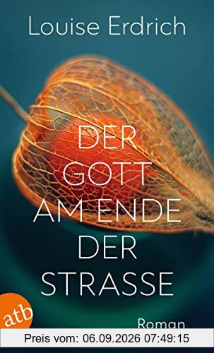 Der Gott am Ende der Straße: Roman