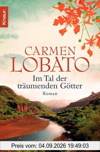 Im Tal der träumenden Götter: Roman