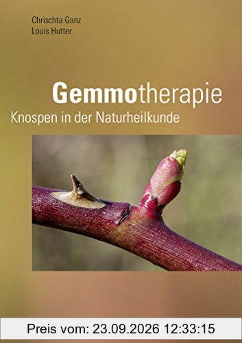 Gemmotherapie: Knospen in der Naturheilkunde