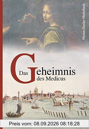 Das Geheimnis des Medicus (Die Bodensee Romane, Historische Reihe)