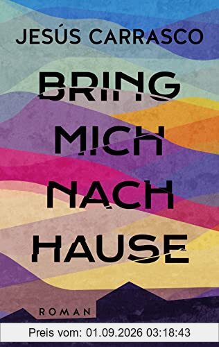 Bring mich nach Hause: Roman