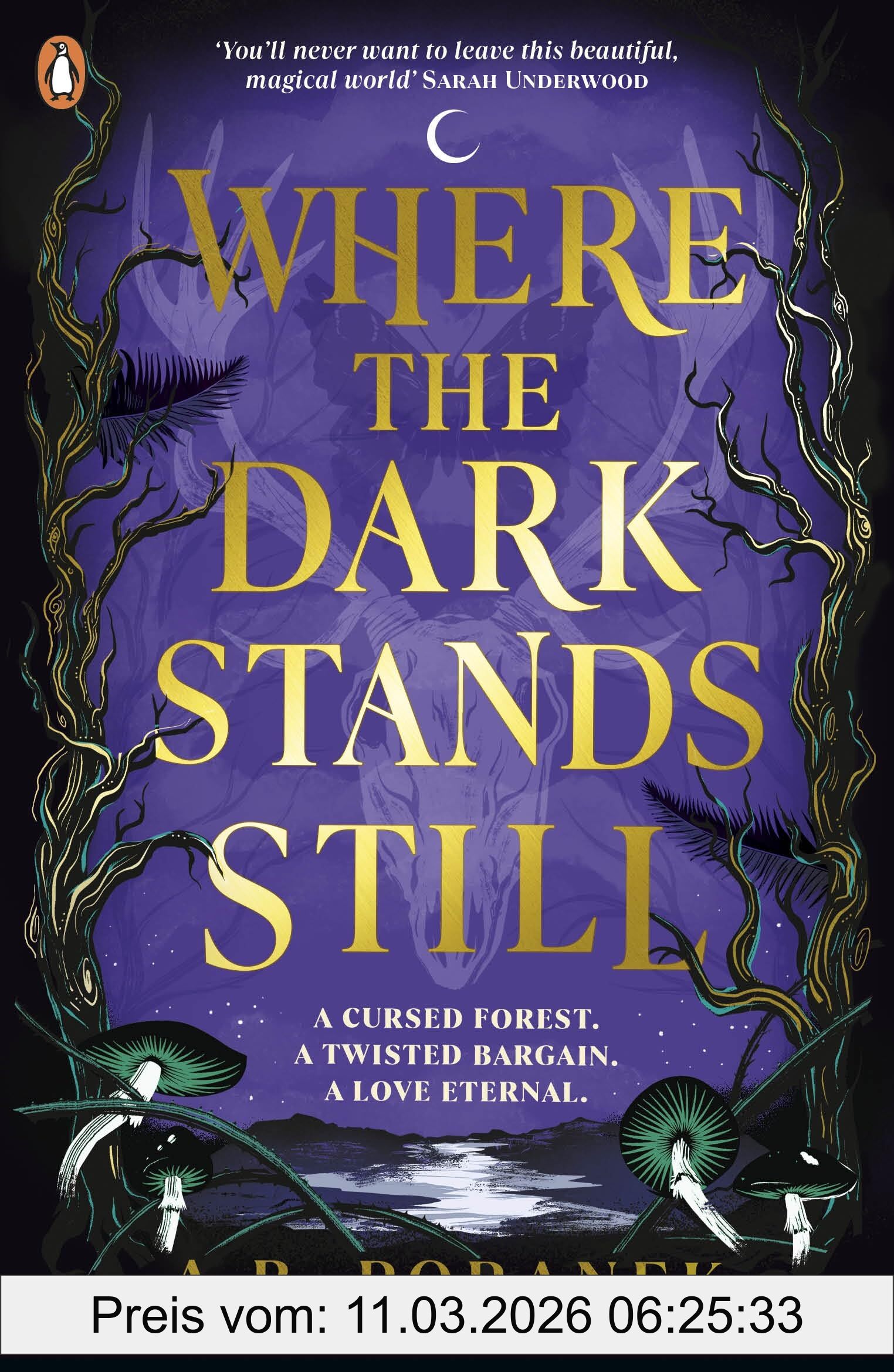A.B. Poranek Where The Dark Stands Still, A Sweeping, Gothic Ya Fairytale Romance