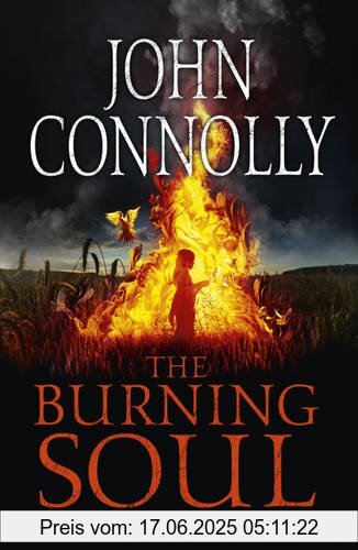 Binding : Taschenbuch, Label : Hodder & Stoughton, Publisher : Hodder & Stoughton, NumberOfItems : 1, medium : Taschenbuch, numberOfPages : 432, publicationDate : 2012-06-21, authors : John Connolly, languages : english, ISBN : 0340993553