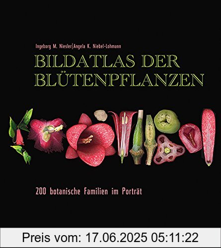Binding : Gebundene Ausgabe, Edition : 1, Label : Haupt Verlag, Publisher : Haupt Verlag, medium : Gebundene Ausgabe, numberOfPages : 264, publicationDate : 2017-09-11, authors : Ingeborg M. Niesler, Angela K. Niebel-Lohmann, languages : german, ISBN : 3258080232