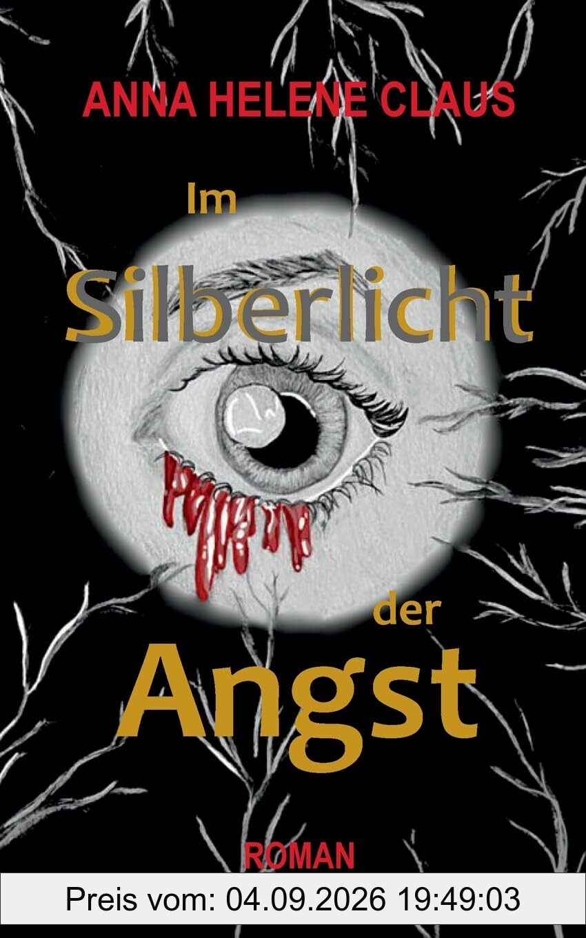 Im Silberlicht der Angst: Psychologischer Spannungsroman über Manipulation und Selbstfindung