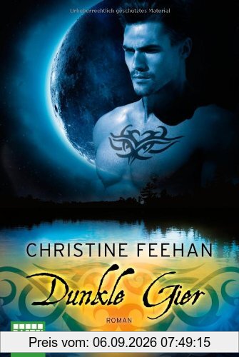 Dunkle Gier: Roman: Historische Liebesromane
