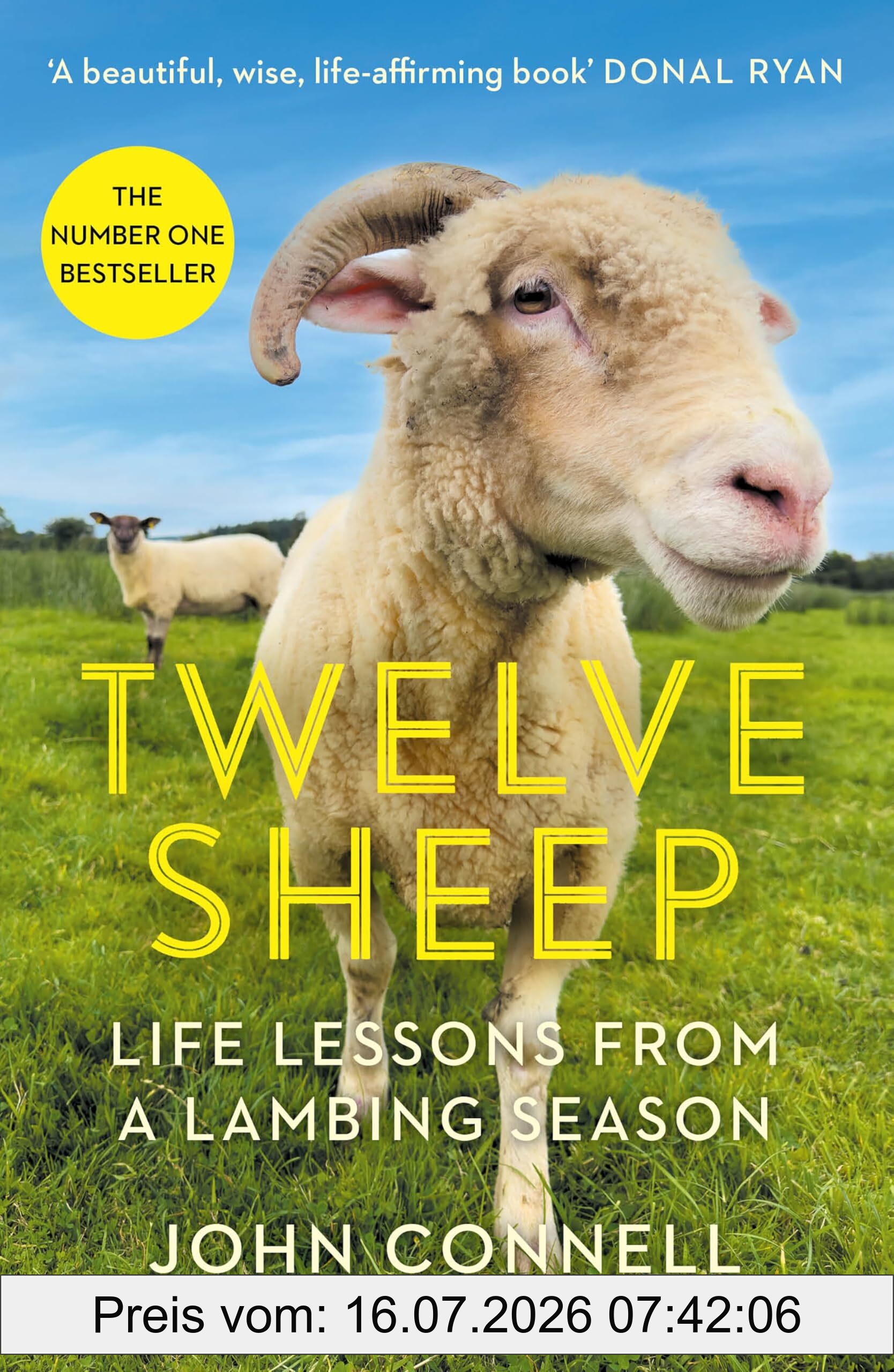 John Connell Twelve Sheep, Life Lessons From A Lambing Season