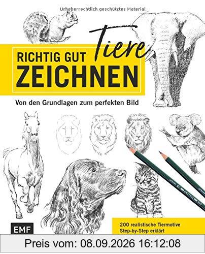 Richtig gut zeichnen – Tiere: Von den Grundlagen zum perfekten Bild – 200 realistische Tiermotive Step by Step erklärt