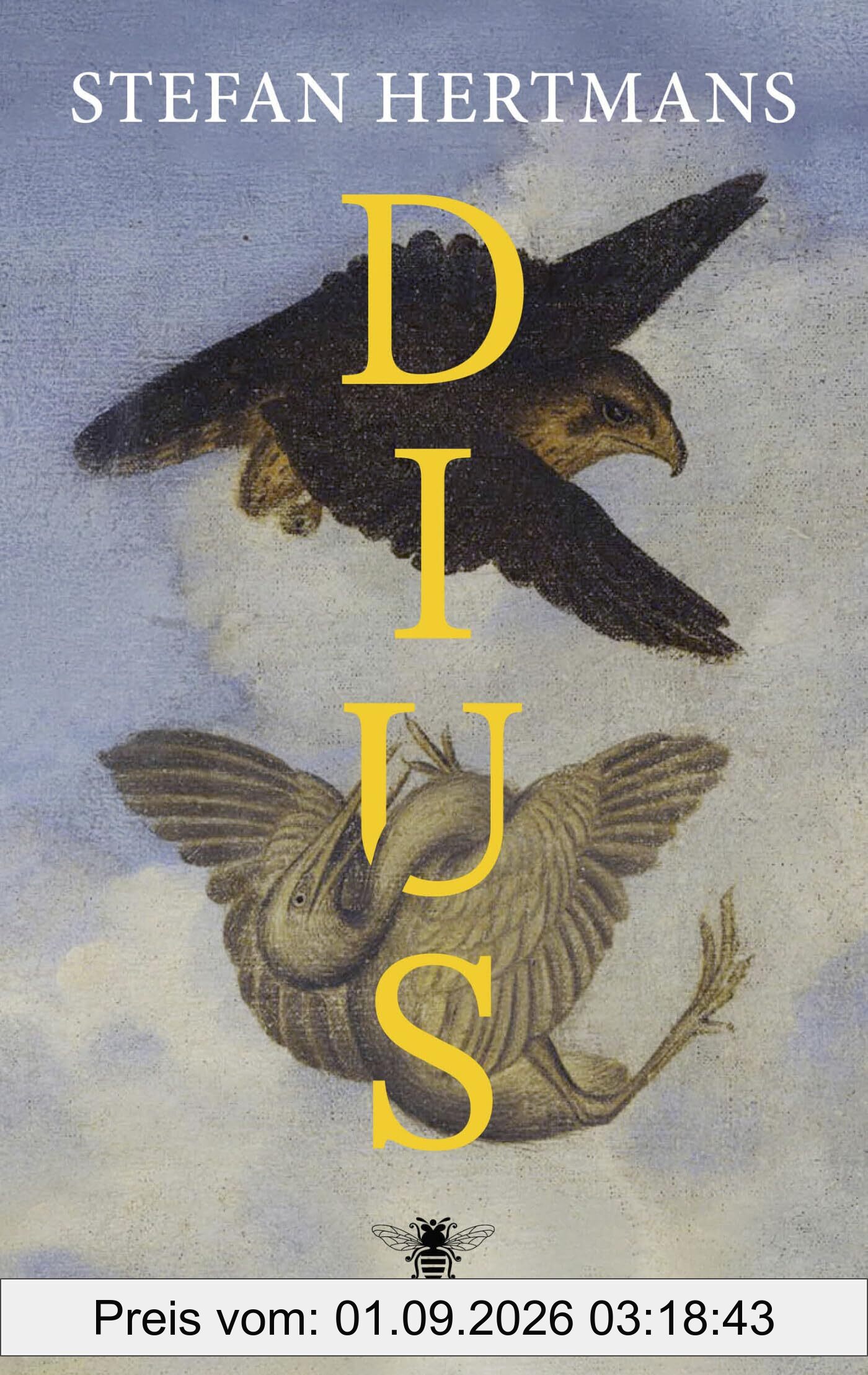 Dius: roman
